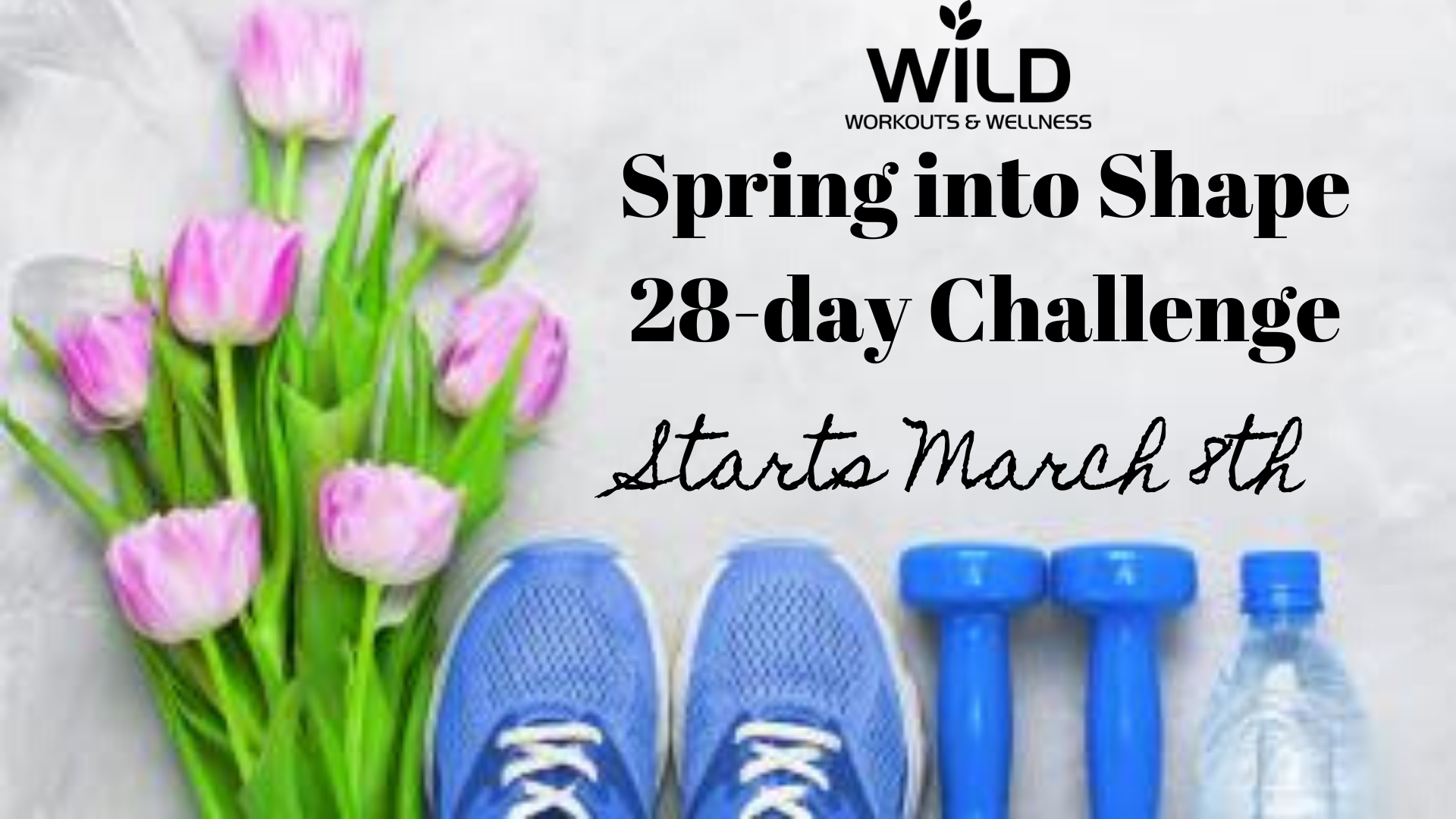 SPRING into SHAPE 28-day CHALLENGE