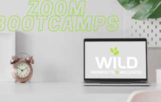 wild workout and wellness zoom bootcamps