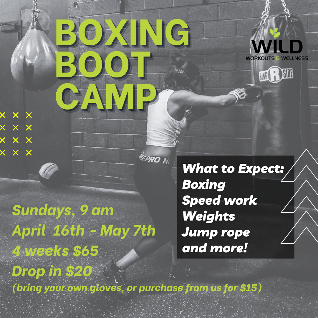 Boxing Boot Camp
